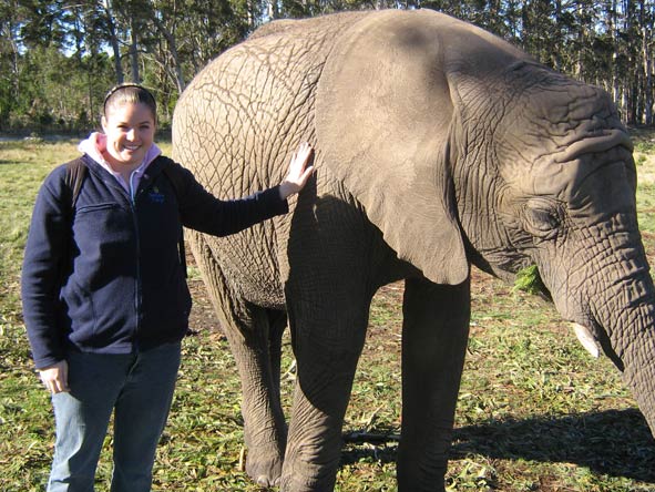 Shelley Hess - meeting one of the juvenile elephants near Addo on the Garden Route